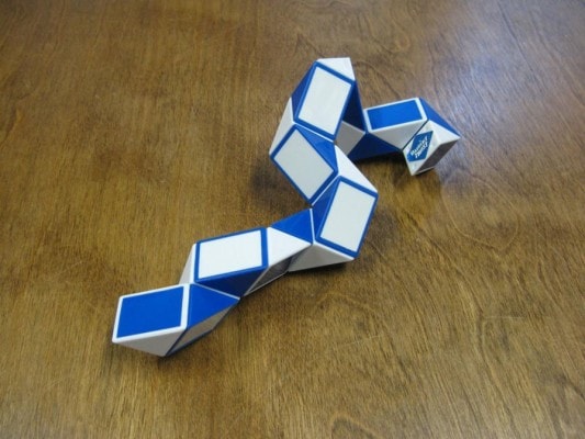 01_Dror_Snake