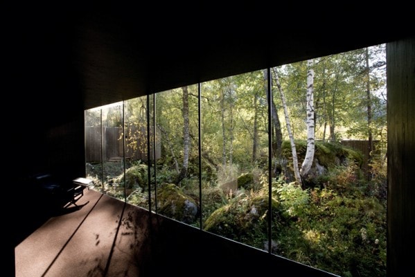 Arcadia_4