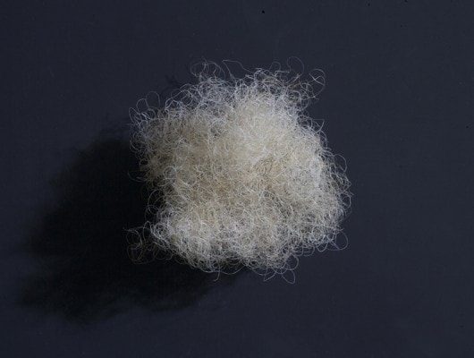 DH_horsehair