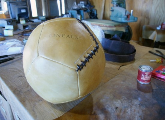 LA_ballshot LA_ballshot