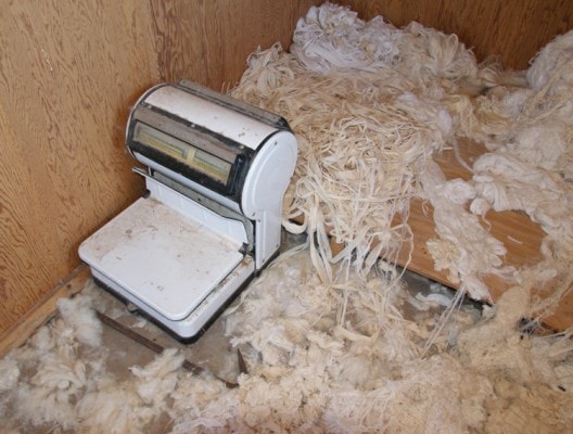 LA_threadroomscale LA_threadroomscale