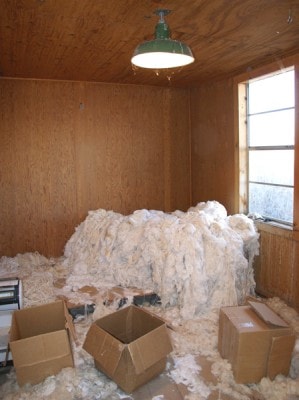LA_threadroomtall LA_threadroomtall