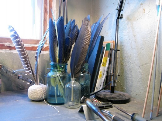 feathers