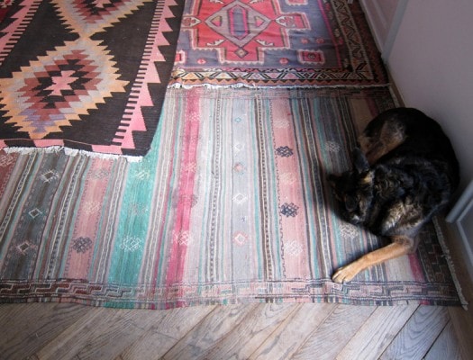 ITdogrugs ITdogrugs