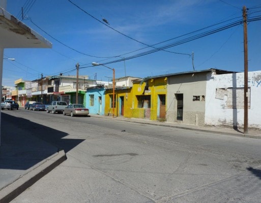 P1000081 P1000081
