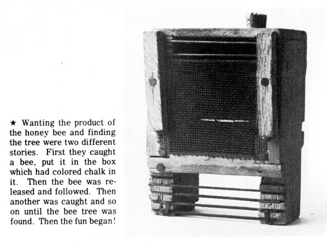 Bee Trap