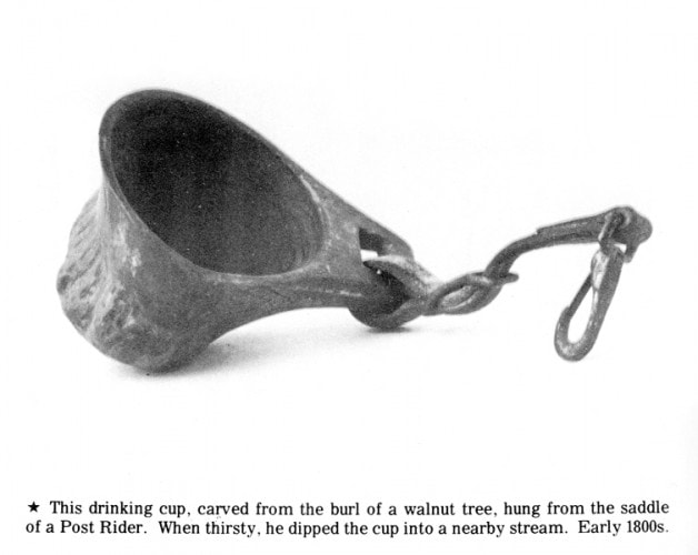 Drinking Cup