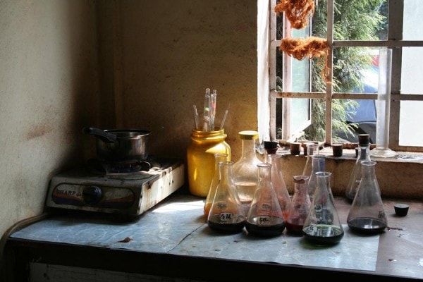 IMG_3481 IMG_3481