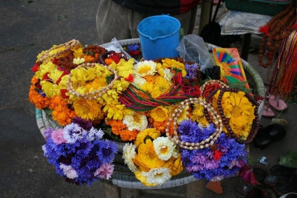 IMG_3346 IMG_3346