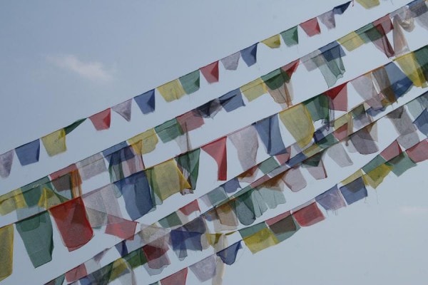 IMG_3439 IMG_3439