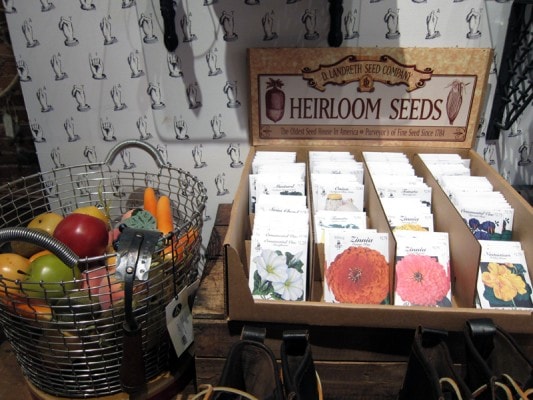 AITAseeds