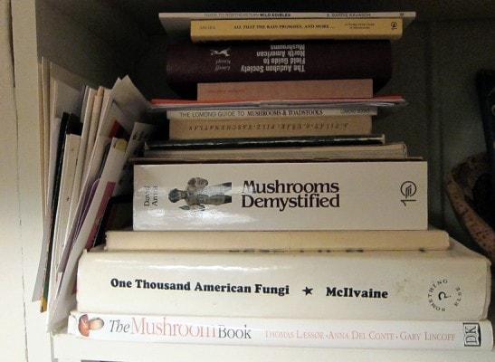 mushroomsdemystified mushroomsdemystified