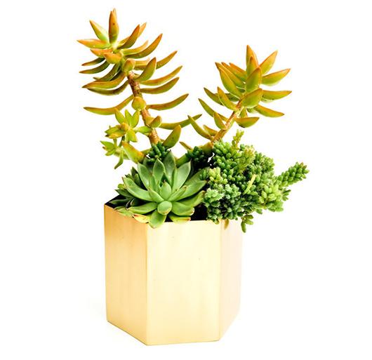 LEIF_Brass Hexagon Planter