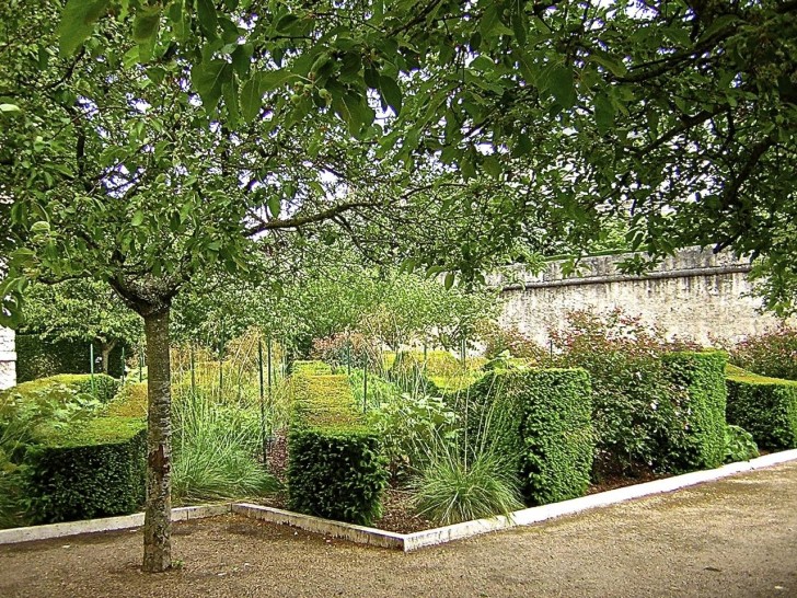 blois-garden-3