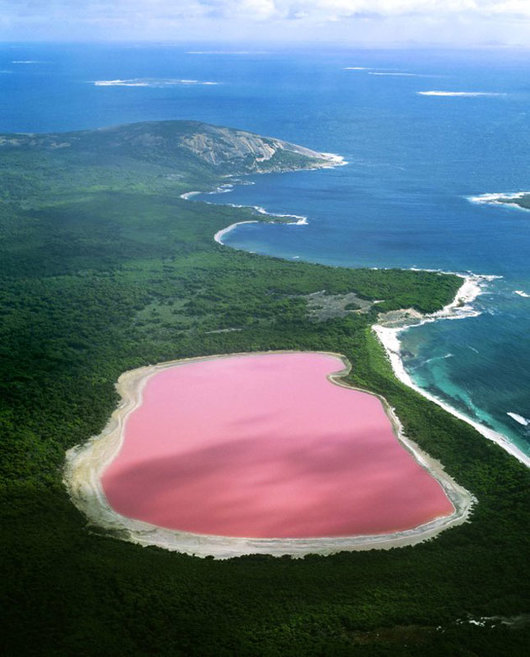 swim-lake-hillier-australia-2