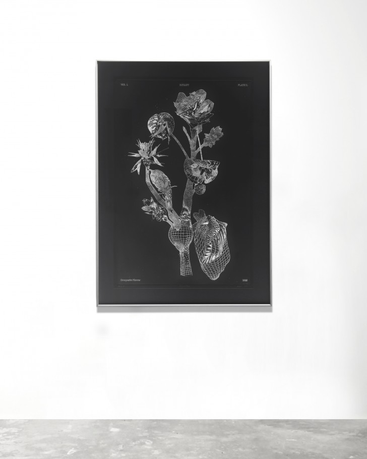 06_Marcin_Rusak_Botanical_Drawing_4