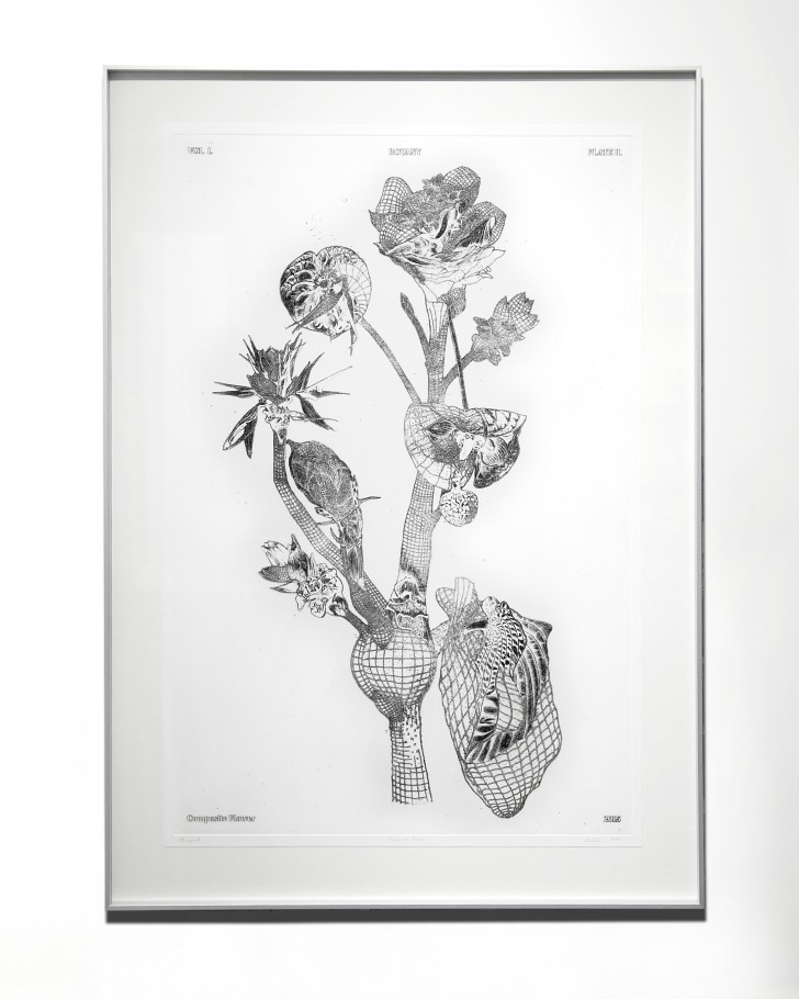 07_Marcin_Rusak_Botanical_Drawing_2