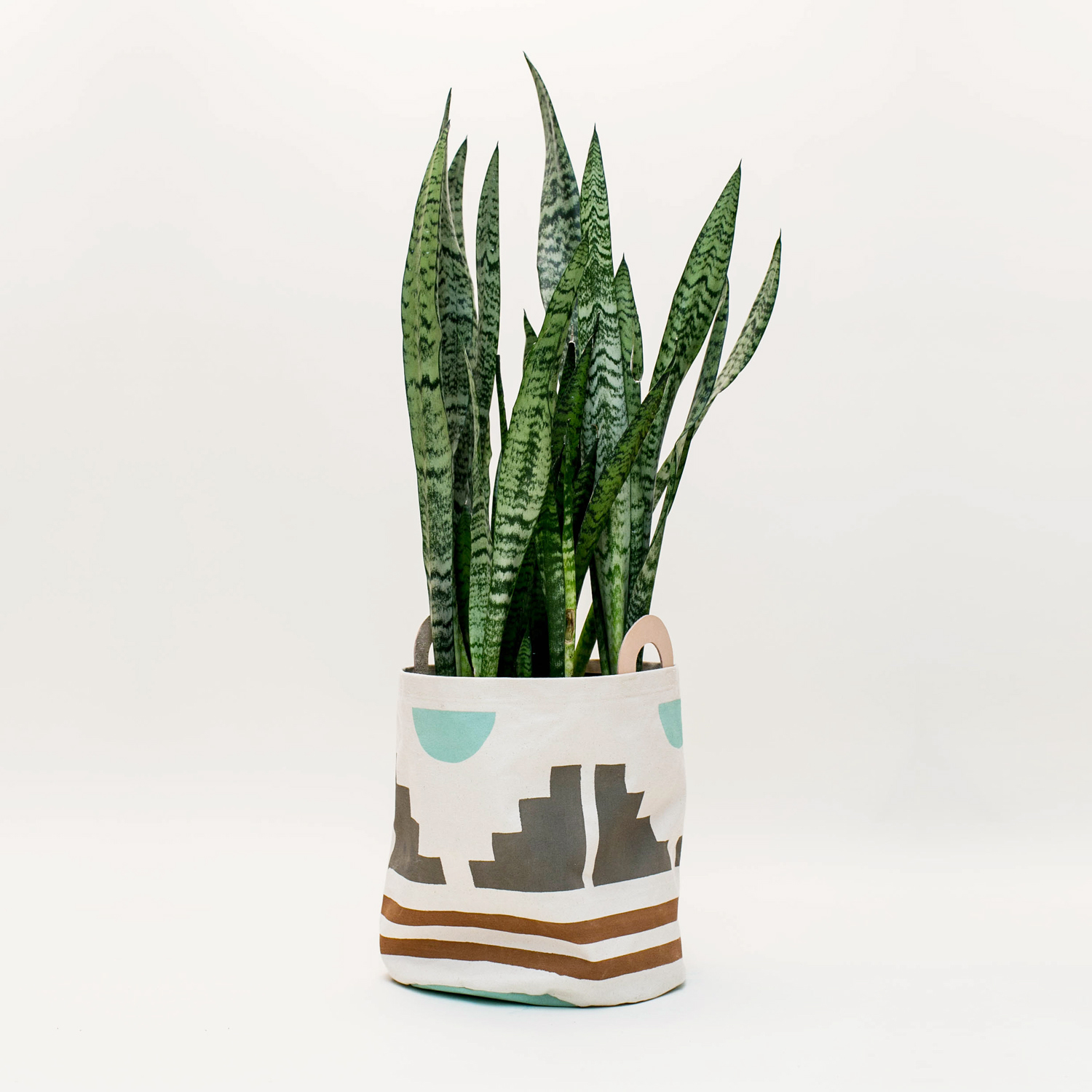 BH_Home_Planter_small