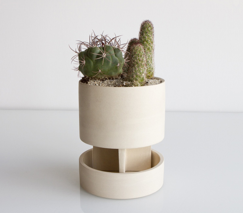 V1SwMDGBR9GZgBuuNLyz_architectural-chromo-front-cactus