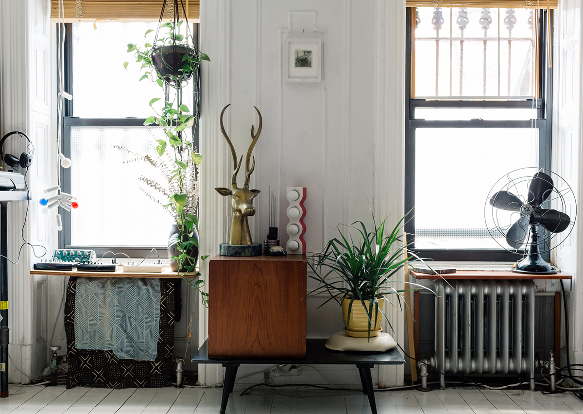 Brooklyn brownstone design collector