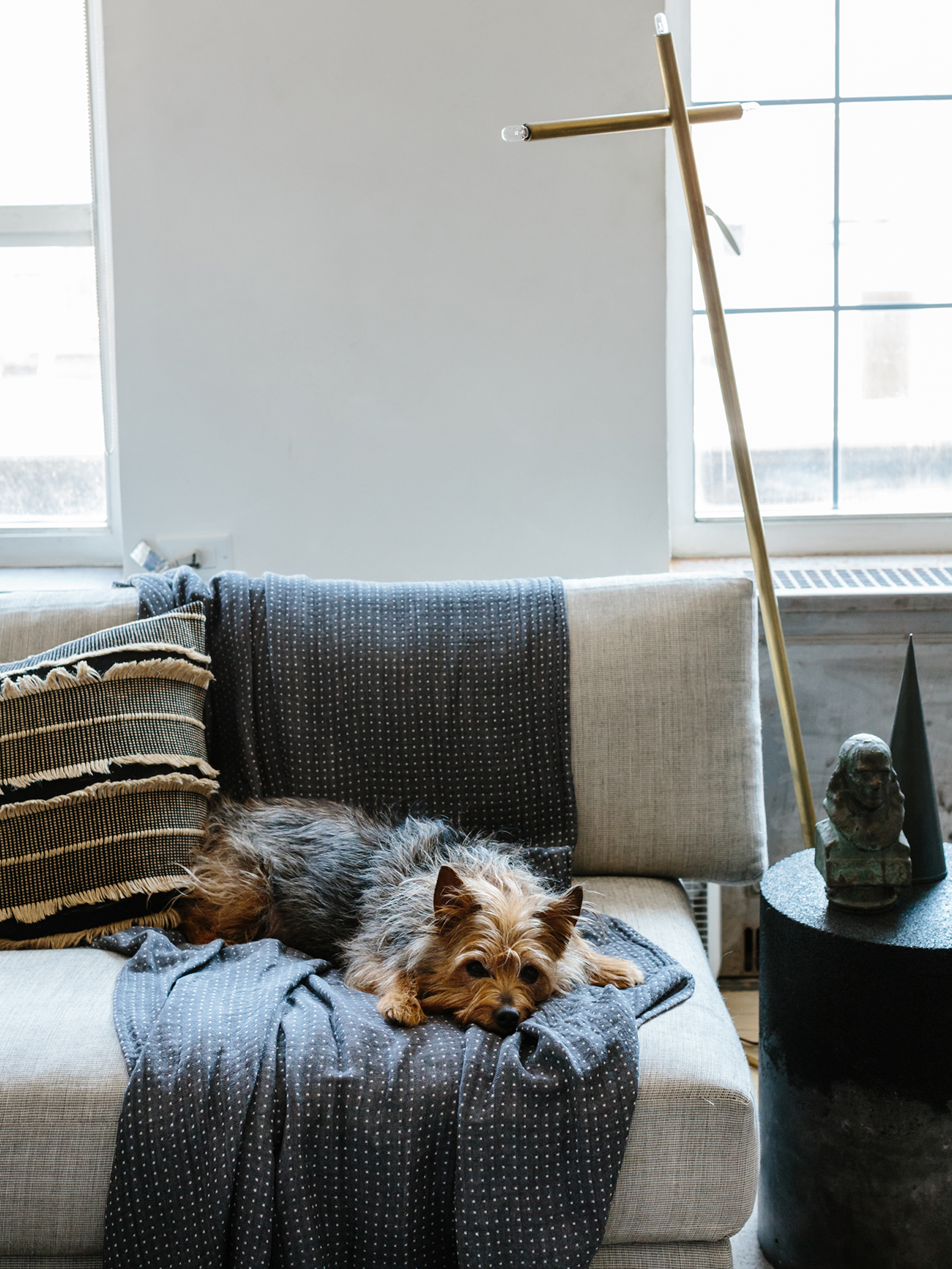 Sam Amoia New York interior designer