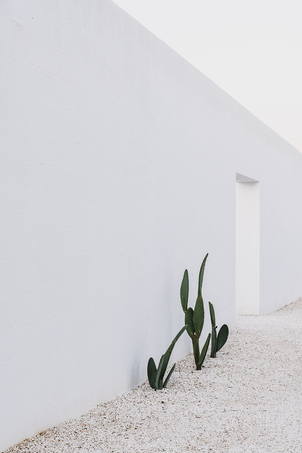 masseria_moroseta_ostuni_andrew_trotter_salva_lopez_5