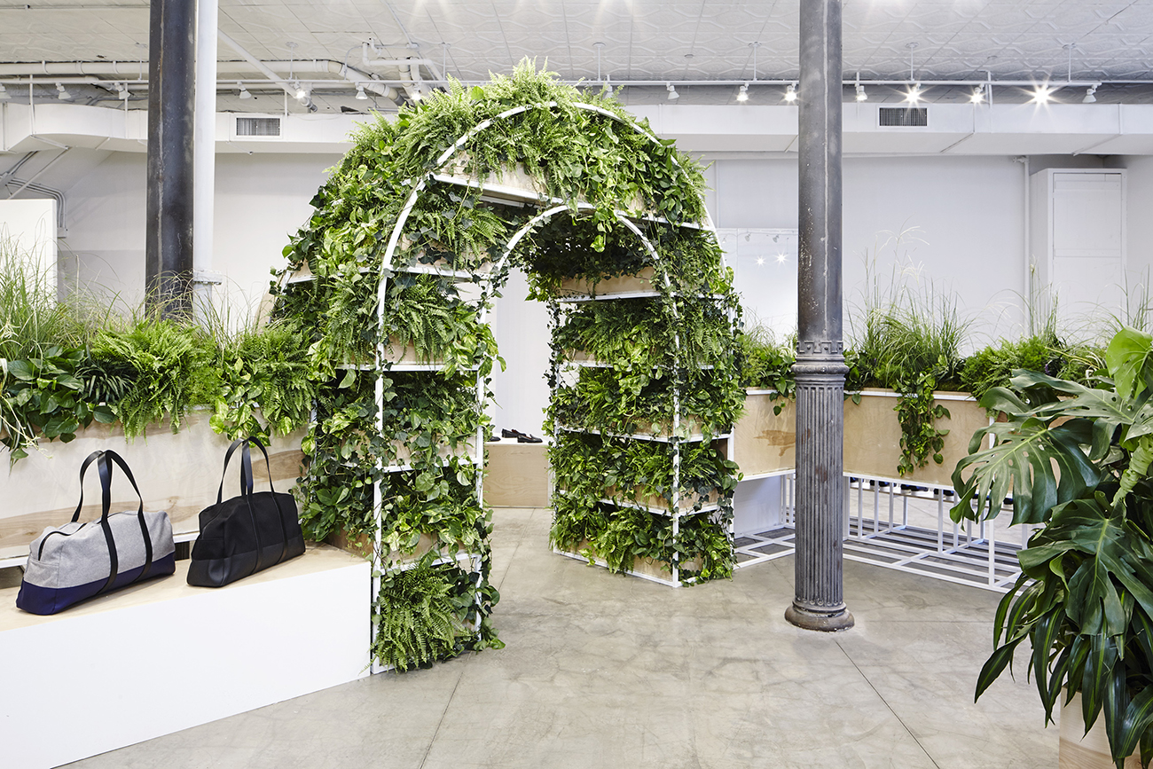 Everlane Shoe Park