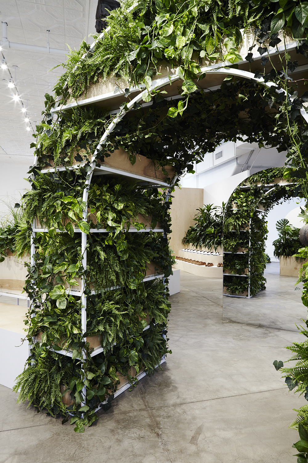 Everlane Shoe Park