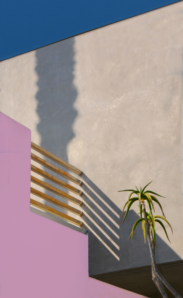 Hayley Eichenbaum Instagram Photographer