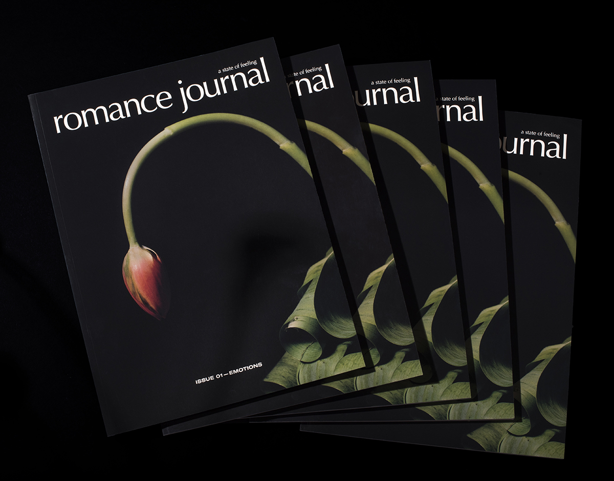 RomanceJournal_04