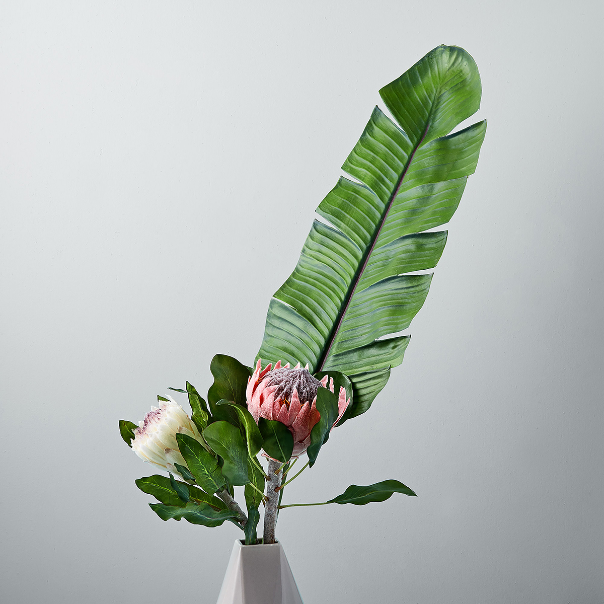 Metaflora x West Elm_Banana Leaf-Protea