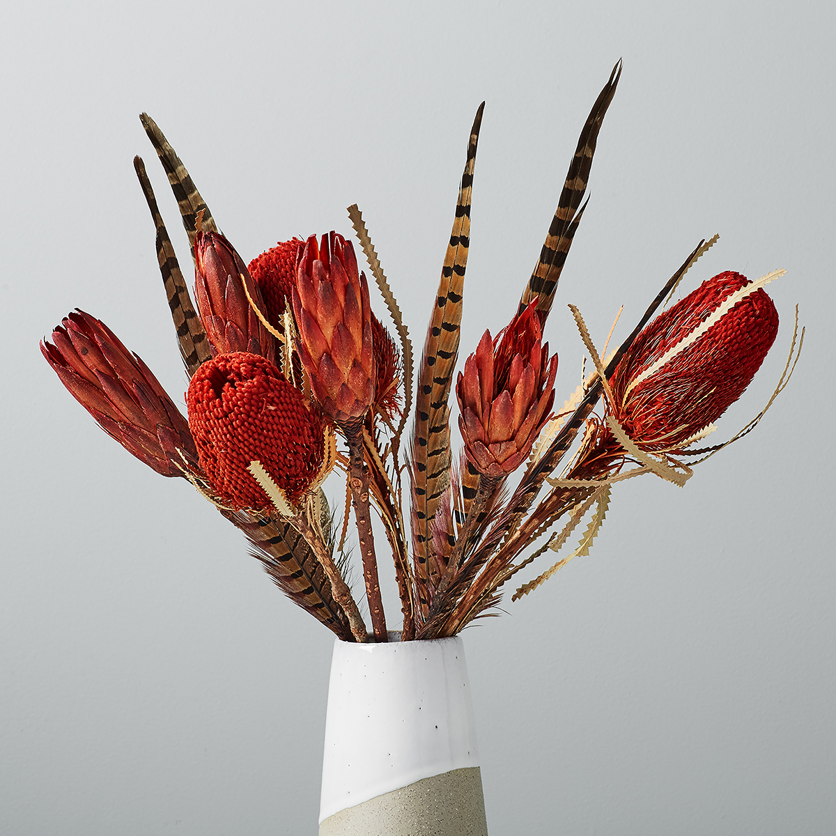 Metaflora x West Elm_Dried red banksea protea feathers