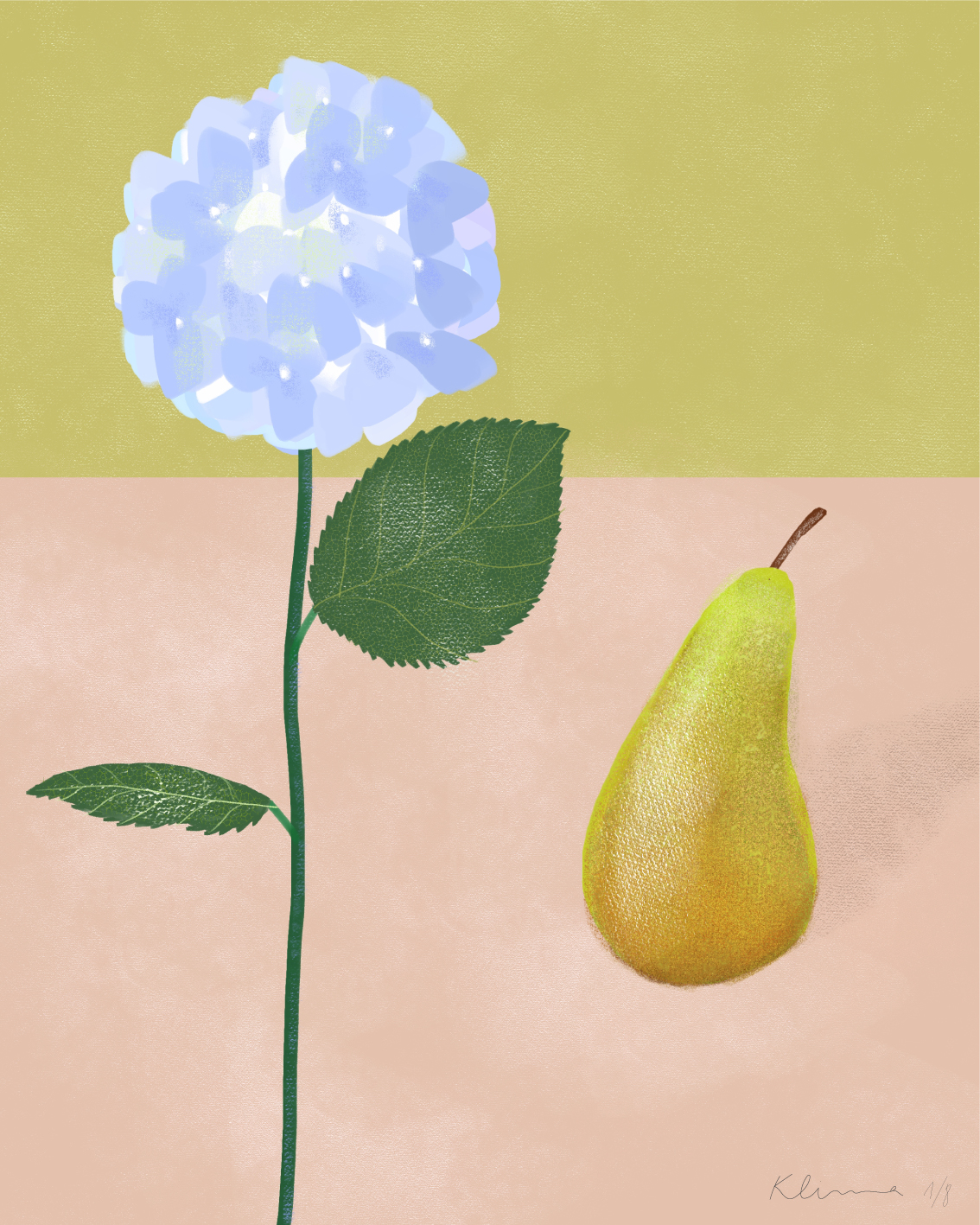 hortensia-and-pear