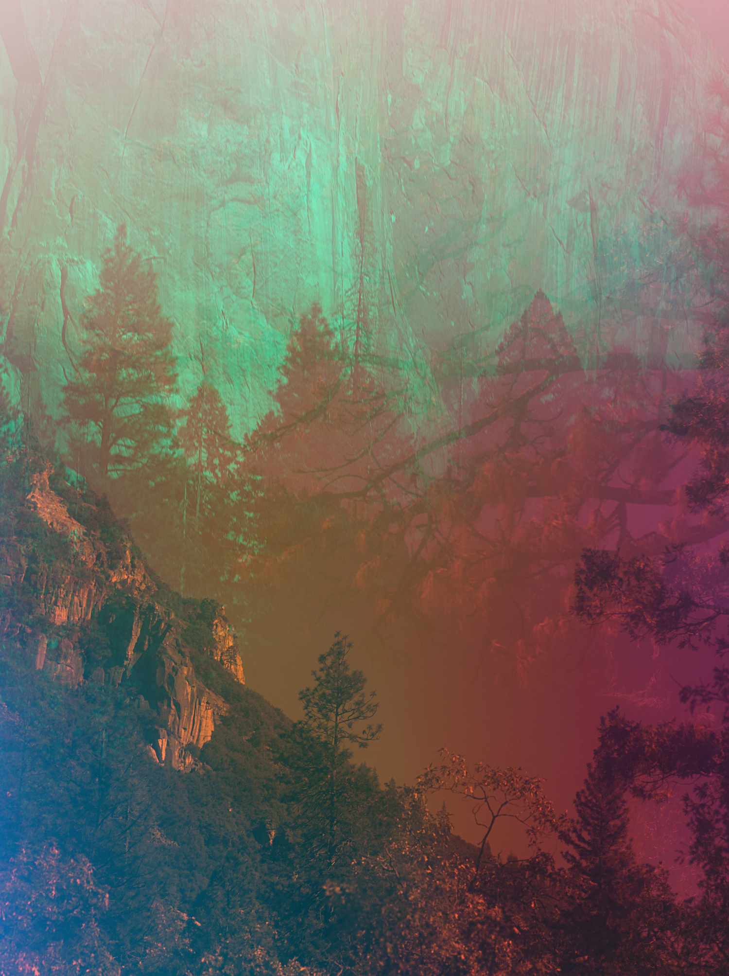 TerriLoewenthal_Psychscape61_Yosemite_2017