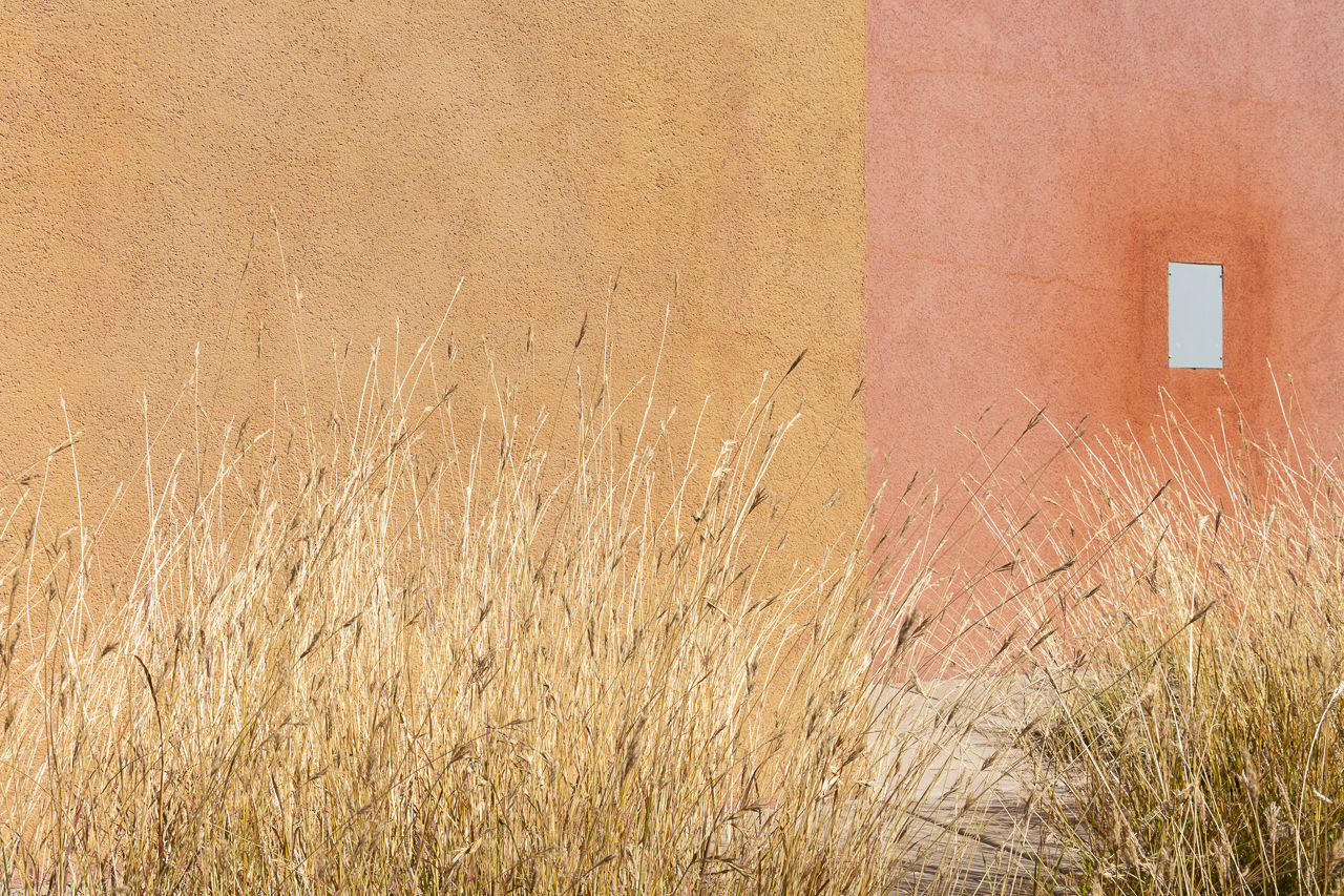 christensen_natalie_autumn grasses with grey block