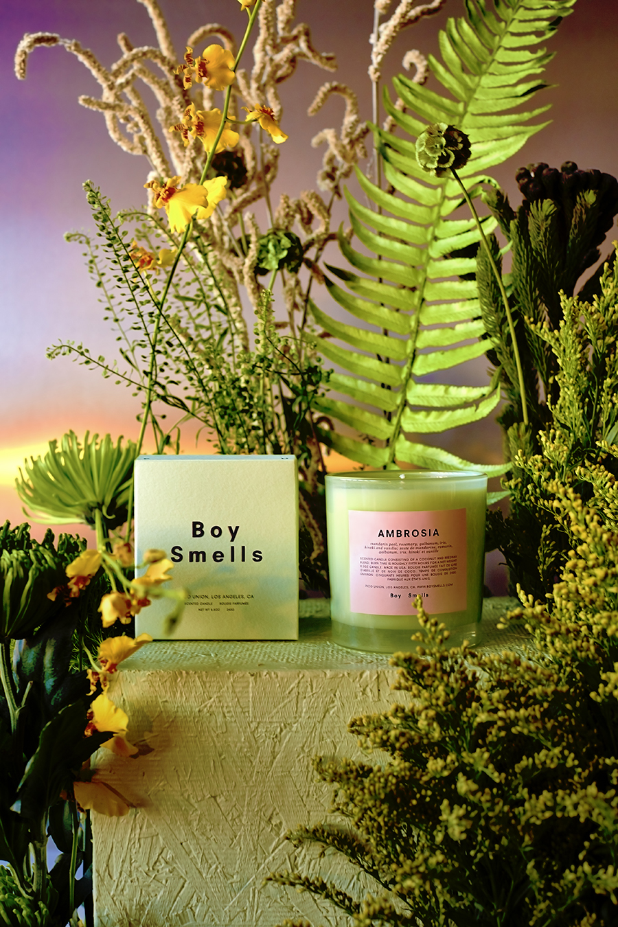 Boy Smells Editorial Recolor - Chromestheisa - Ambrosia 01