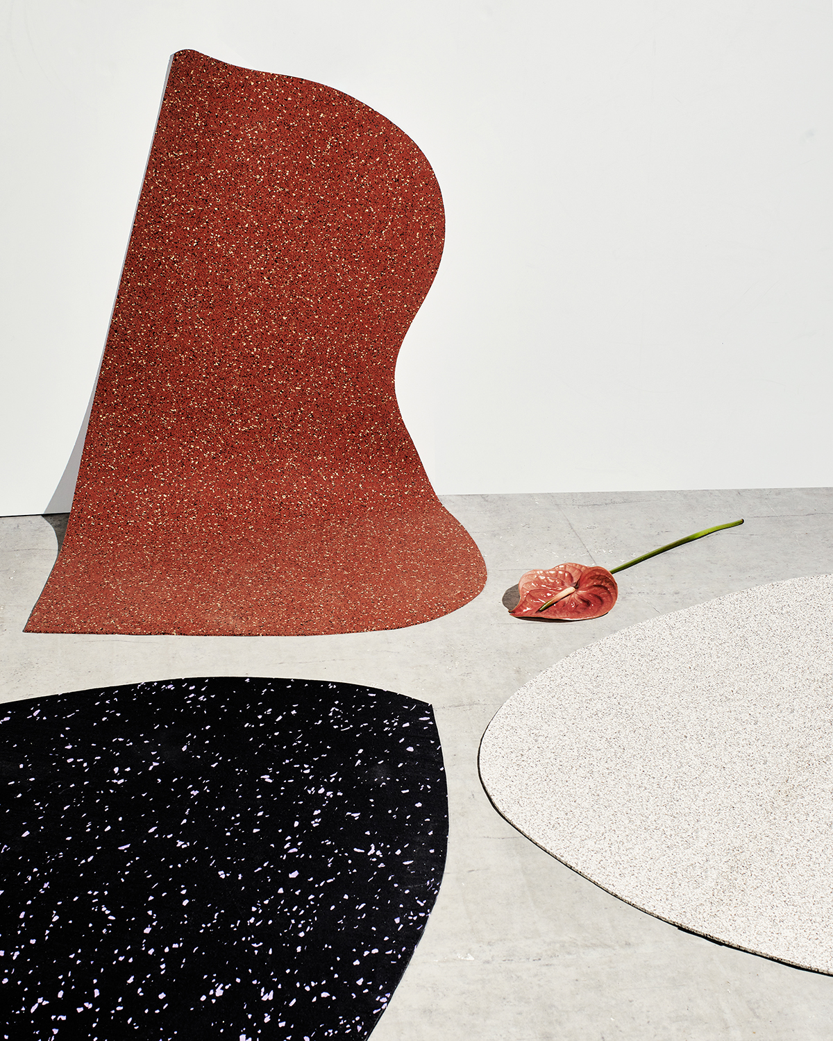 1SPxSO-Rug-Terra-Basalt-Sand_Lifestyle_Anthurium_SlashObjects_hi