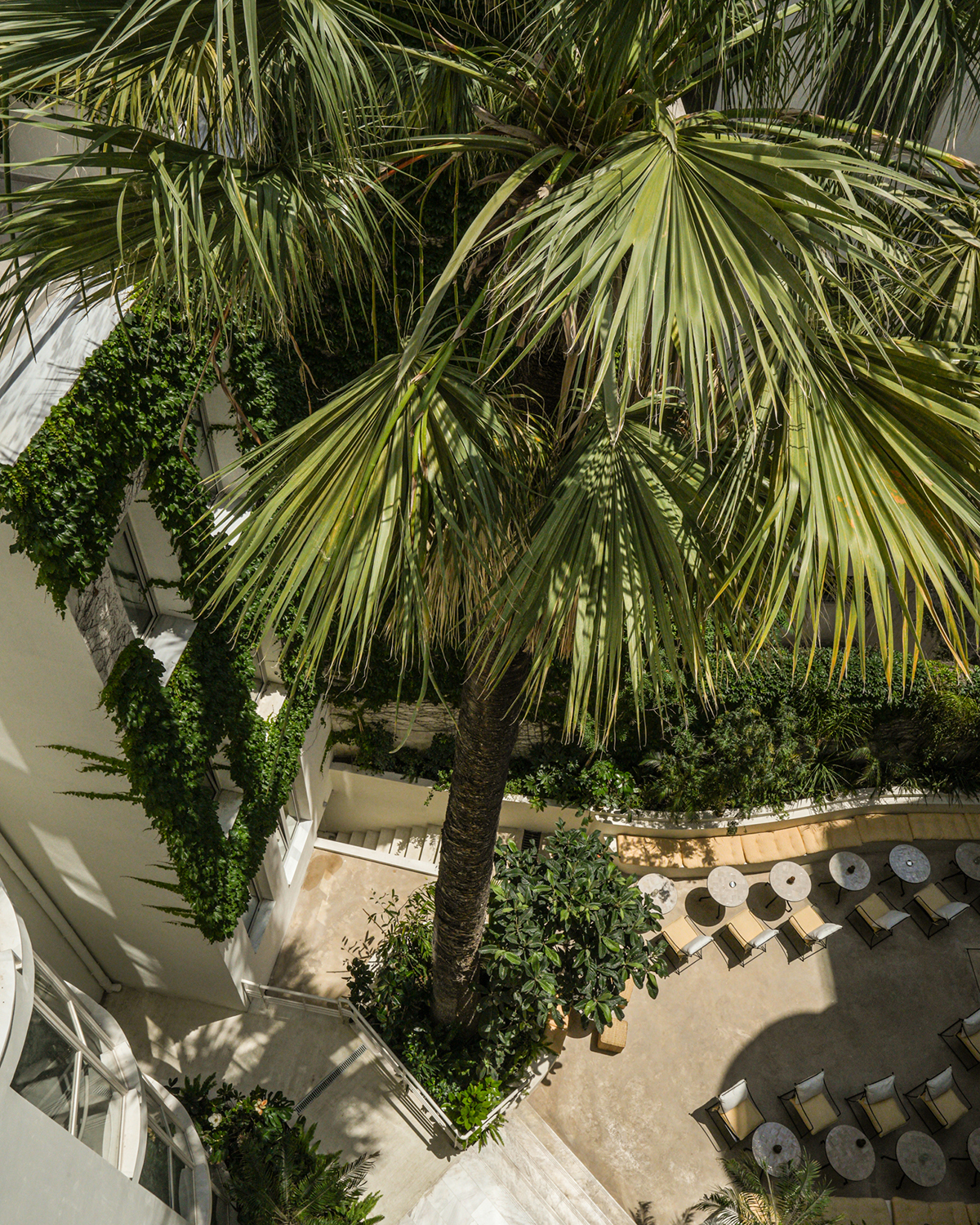 Athens design hotel Apollo Palm